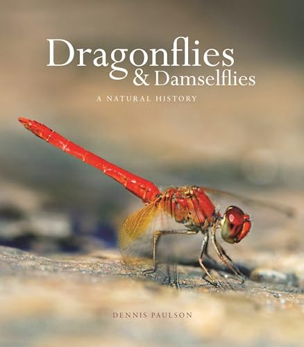 Stock image for Dragonflies and Damselflies: A Natural History for sale by ZBK Books