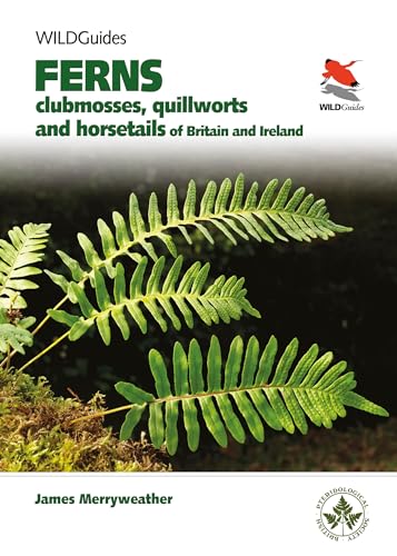 Stock image for Britain's Ferns, Clubmosses, Spikemosses, Quillworts and Horsetails WILDGuides A Field Guide to the Clubmosses, Quillworts, Horsetails and Ferns of and Ireland WILDGuides of Britain Europe for sale by PBShop.store US