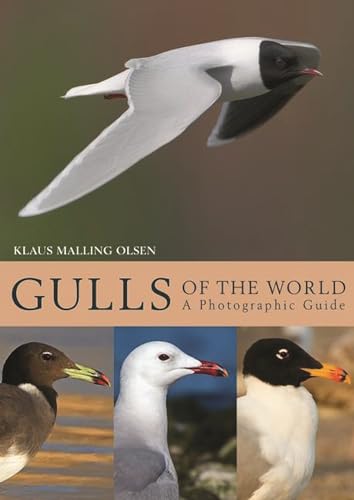 Beispielbild fr Gulls of the World: A Photographic Guide zum Verkauf von ThriftBooks-Dallas