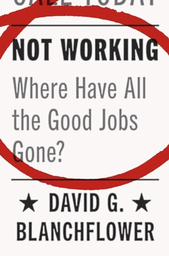 Stock image for Not Working: Where Have All the Good Jobs Gone? for sale by ThriftBooks-Atlanta
