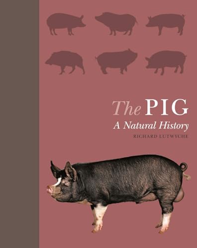 Stock image for The Pig: A Natural History for sale by Goodwill San Antonio