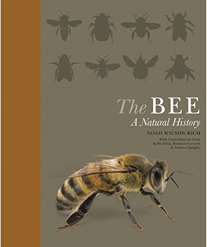 Beispielbild fr The Bee: A Natural History zum Verkauf von Goodwill Books