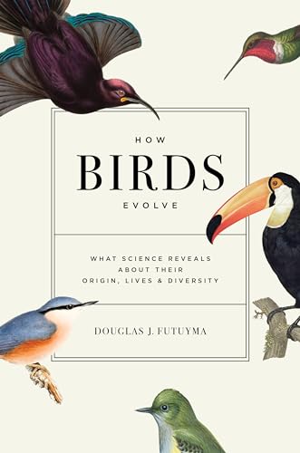 Imagen de archivo de How Birds Evolve: What Science Reveals about Their Origin, Lives, and Diversity a la venta por GF Books, Inc.