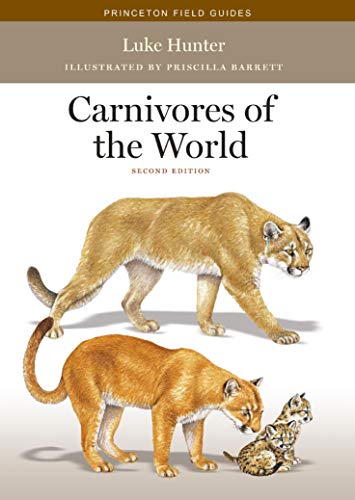 Stock image for Carnivores of the World: Second Edition (Princeton Field Guides, 117) for sale by HPB-Diamond