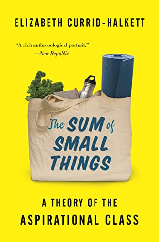 Beispielbild fr The Sum of Small Things: A Theory of the Aspirational Class zum Verkauf von SecondSale