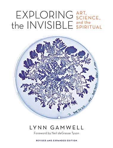 9780691191058: Exploring the Invisible: Art, Science, and the Spiritual