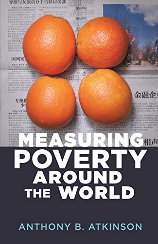 Stock image for Measuring Poverty around the World for sale by Books-FYI, Inc.