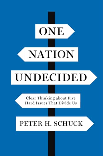 Stock image for One Nation Undecided : Clear Thinking about Five Hard Issues That Divide Us for sale by Better World Books: West
