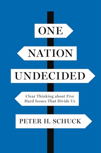 9780691191584: One Nation Undecided: Clear Thinking about Five Hard Issues That Divide Us