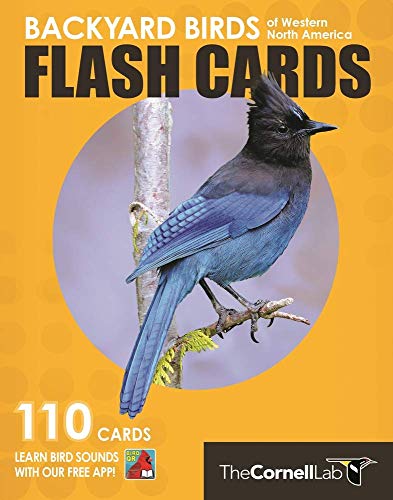 Stock image for Backyard Birds Flash Cards - Western North America (Cornell Lab of Ornithology) for sale by Lakeside Books