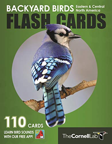 Imagen de archivo de Backyard Birds Flash Cards - Eastern & Central North America (Cornell Lab of Ornithology) a la venta por Lakeside Books