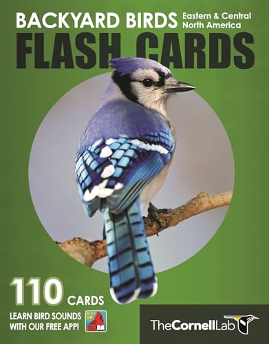 Stock image for Backyard Birds Flash Cards - Eastern & Central North America (Cornell Lab of Ornithology) for sale by HPB-Ruby