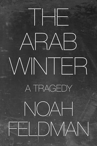 9780691194929: The Arab Winter: A Tragedy