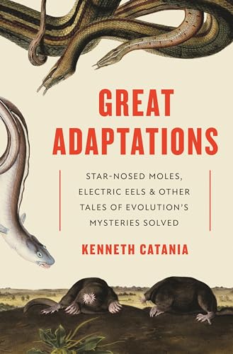 Stock image for GREAT ADAPTATIONS Star-Nosed Moles, Electric Eels, and Other Tales of Evolution's Mysteries Solved for sale by Riverow Bookshop