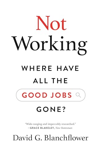 Stock image for Not Working: Where Have All the Good Jobs Gone? for sale by Goodwill Books
