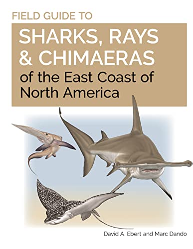 Beispielbild fr Field Guide to Sharks, Rays and Chimaeras of the East Coast of North America zum Verkauf von Blackwell's