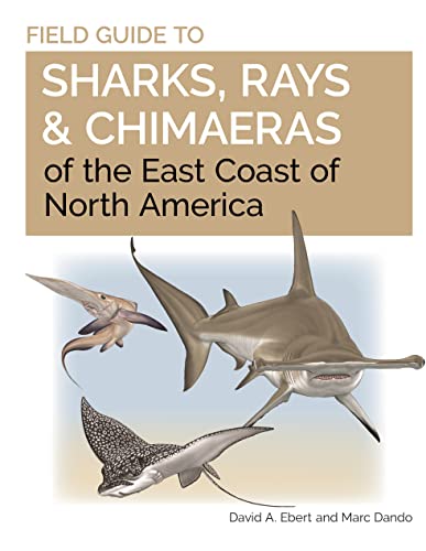 Imagen de archivo de Field Guide to Sharks, Rays and Chimaeras of the East Coast of North America (Wild Nature Press) [Flexibound] Dando, Marc and Ebert, Dr. David A. a la venta por Lakeside Books