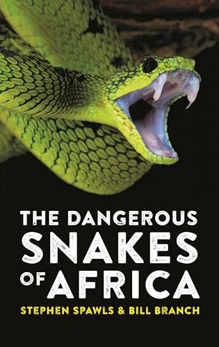 Stock image for The Dangerous Snakes of Africa for sale by Kennys Bookshop and Art Galleries Ltd.