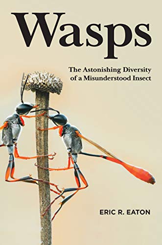 9780691211428: Wasps: The Astonishing Diversity of a Misunderstood Insect