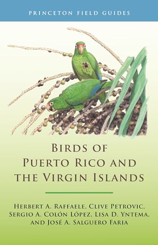 Beispielbild fr BIRDS OF PUERTO RICO AND THE VIRGIN ISLANDS. By Herbert A. Raffele, Clive Petrovic, Sergio A. Colon Lopez, Lisa D. Yntema, and Jose A. Salguero Faria. zum Verkauf von Coch-y-Bonddu Books Ltd