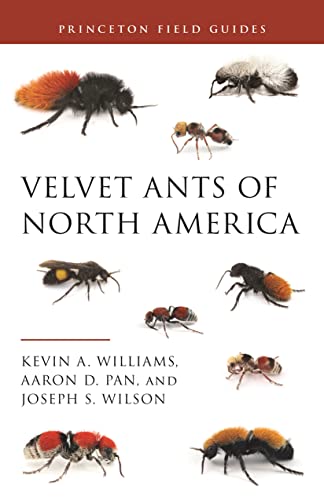 Beispielbild fr Velvet Ants of North America (Princeton Field Guides, 145) [Paperback] Williams, Dr. Kevin; Pan, Dr. Aaron D. and Wilson, Joseph S. zum Verkauf von Lakeside Books