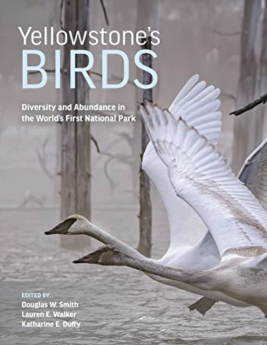 Imagen de archivo de Yellowstone?s Birds: Diversity and Abundance in the World?s First National Park a la venta por Brook Bookstore