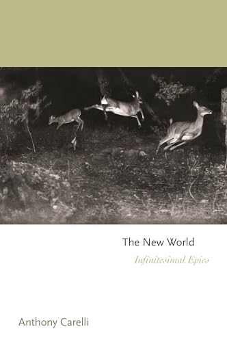 Imagen de archivo de The New World : Infinitesimal Epics a la venta por Better World Books