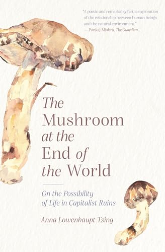 Beispielbild fr The Mushroom at the End of the World: On the Possibility of Life in Capitalist Ruins zum Verkauf von Textbooks_Source