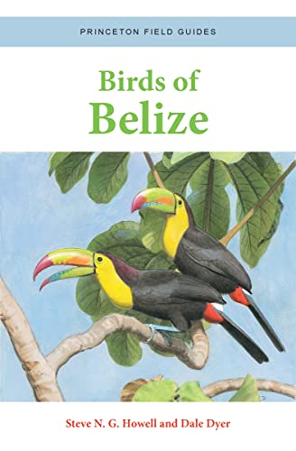 Imagen de archivo de Birds of Belize (Princeton Field Guides, 158) [Flexibound] Howell, Steve N. G. and Dyer, Dale a la venta por Lakeside Books