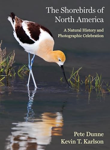 Stock image for The Shorebirds of North America: A Natural History and Photographic Celebration [Hardcover] Dunne, Pete and Karlson, Kevin T. for sale by Lakeside Books
