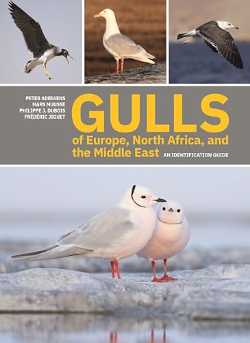 Stock image for Gulls of Europe, North Africa, and the Middle East: An Identification Guide for sale by SecondSale