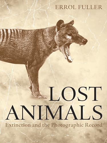 Beispielbild fr Lost Animals zum Verkauf von Blackwell's