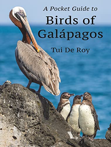 Stock image for A Pocket Guide to Birds of Gal�pagos for sale by Magers and Quinn Booksellers