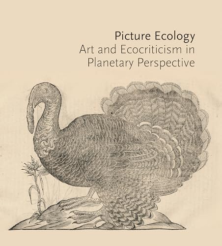 Stock image for Picture Ecology - Art and Ecocriticism in Planetary Perspective for sale by PBShop.store US