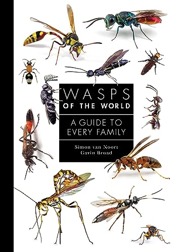 9780691238548: Wasps of the World: A Guide to Every Family