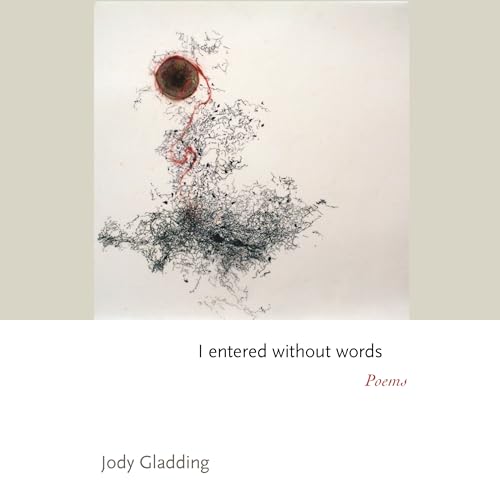 Beispielbild fr I entered without words: Poems (Princeton Series of Contemporary Poets, 166) zum Verkauf von Books From California