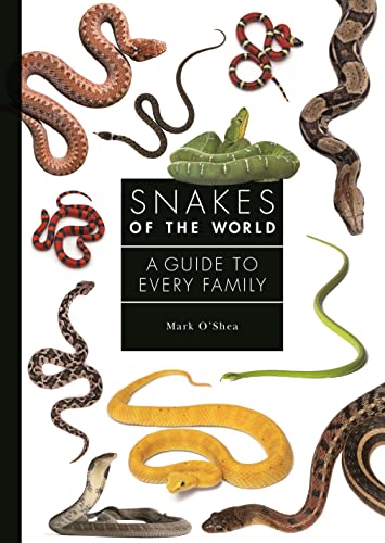 Beispielbild fr Snakes of the World zum Verkauf von Blackwell's