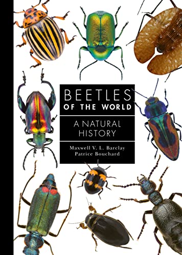 Beispielbild fr Beetles of the World zum Verkauf von Blackwell's