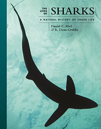 Stock image for The Lives of Sharks: A Natural History of Shark Life (The Lives of the Natural World, 7) for sale by GF Books, Inc.