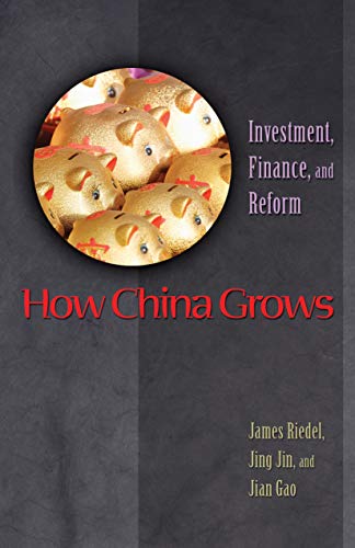 Stock image for How China Grows: Investment, Finance, and Reform for sale by HPB-Red