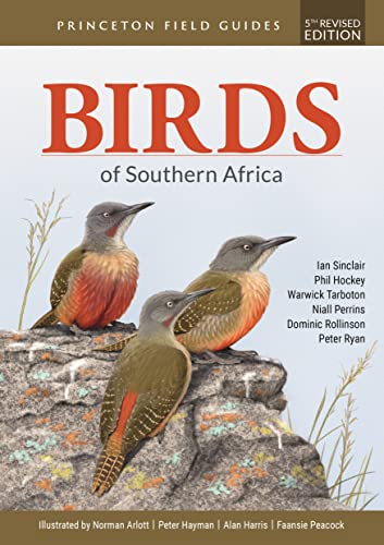 9780691248493: Birds of Southern Africa: Fifth Revised Edition: 159 (Princeton Field Guides, 159)