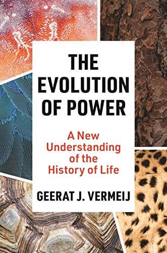 9780691250410: The Evolution of Power: A New Understanding of the History of Life