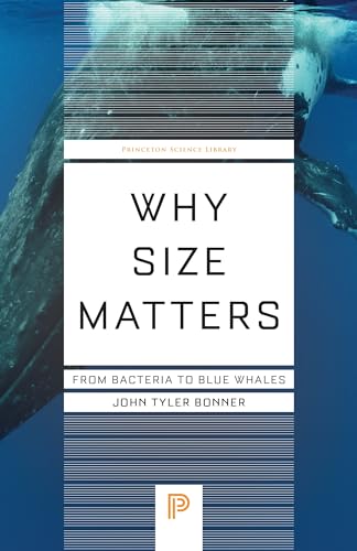 Beispielbild fr Why Size Matters zum Verkauf von Blackwell's