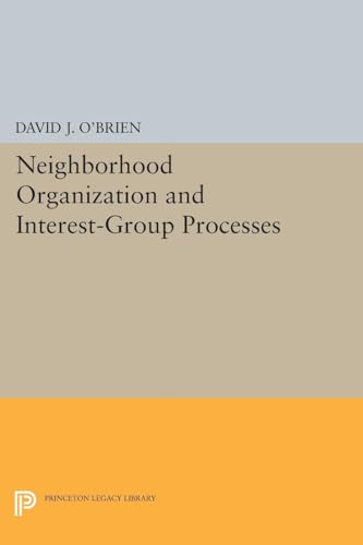 9780691613482: Neighborhood Organization and Interest-Group Processes (Princeton Legacy Library, 1792)