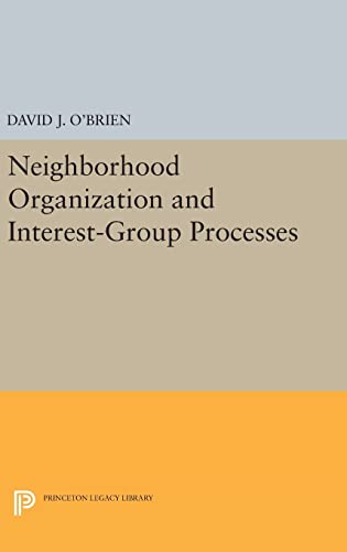 9780691641270: Neighborhood Organization and Interest-Group Processes (Princeton Legacy Library, 1792)