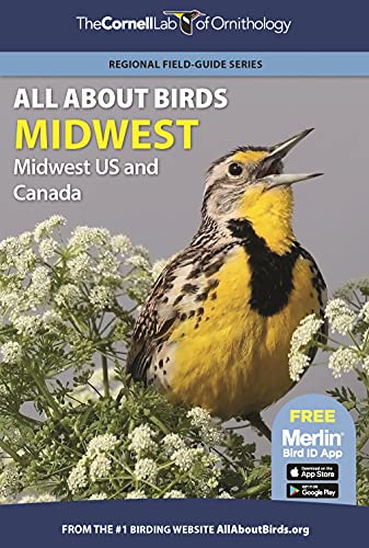 Stock image for All About Birds Midwest: Midwest US and Canada (Cornell Lab of Ornithology) for sale by Sheafe Street Books