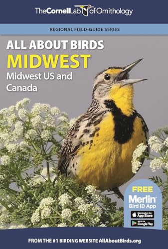 Stock image for All About Birds Midwest: Midwest US and Canada (Cornell Lab of Ornithology) for sale by Magers and Quinn Booksellers
