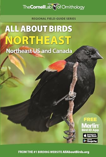 9780691990026: All About Birds Northeast: Northeast US and Canada (Cornell Lab of Ornithology)