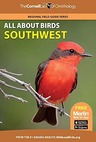 Beispielbild fr All About Birds Southwest (Cornell Lab of Ornithology) zum Verkauf von Lakeside Books