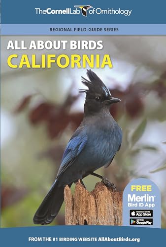 Stock image for All About Birds California (Cornell Lab of Ornithology) for sale by SecondSale